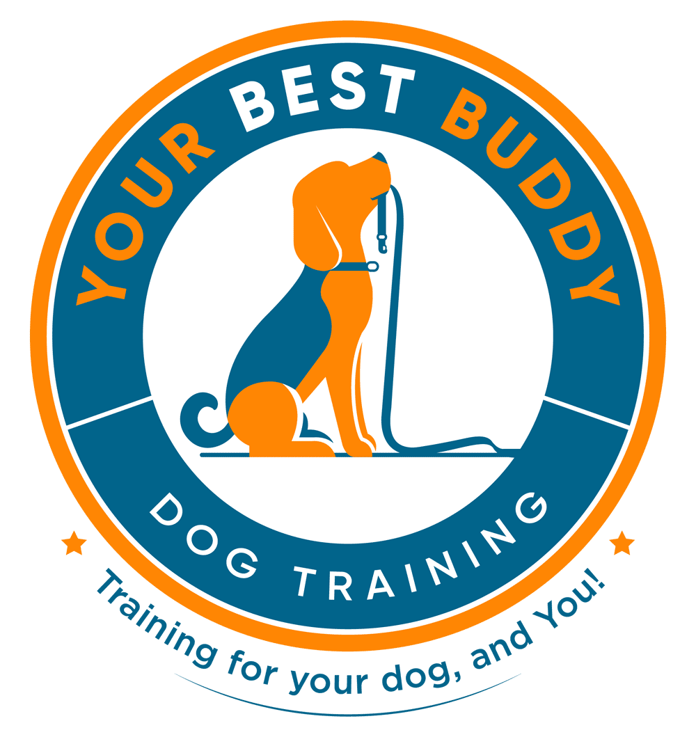 professional-dog-trainer-in-helena-mt